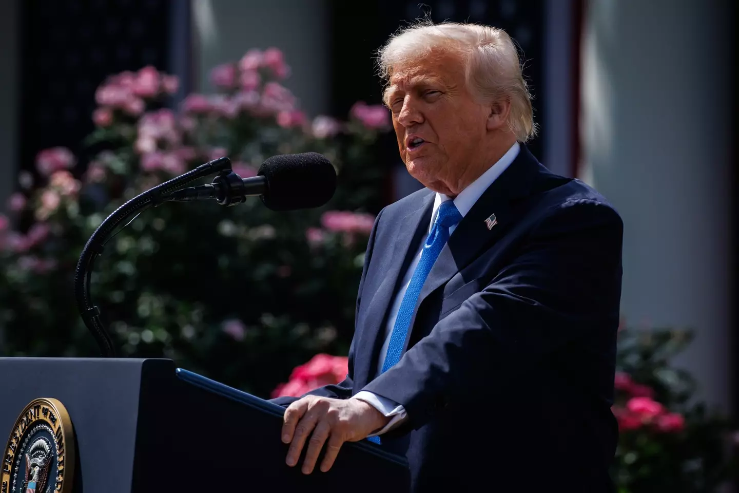 Donald Trump reflected on the importance of the bill on Monday (Samuel Corum/Bloomberg via Getty Images)