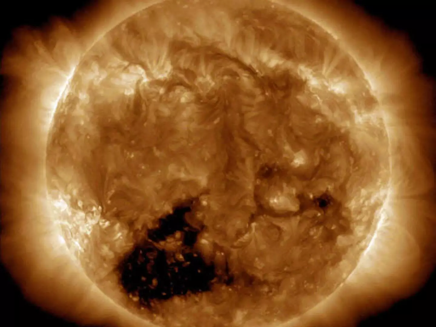 Coronal holes appear as dark patches.