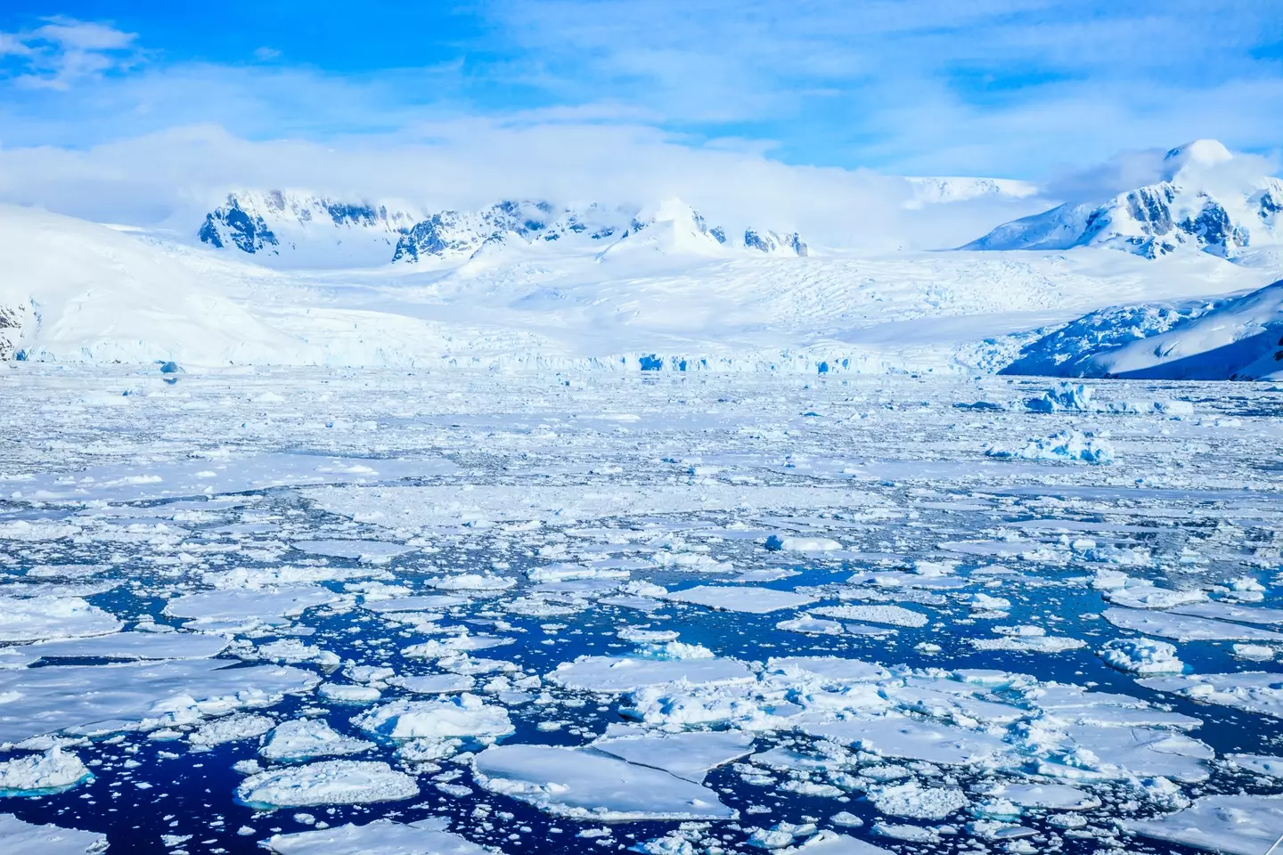The Thwaites Glaicer acts as a 'cork' to the ice sheet (Getty Stock Photo)