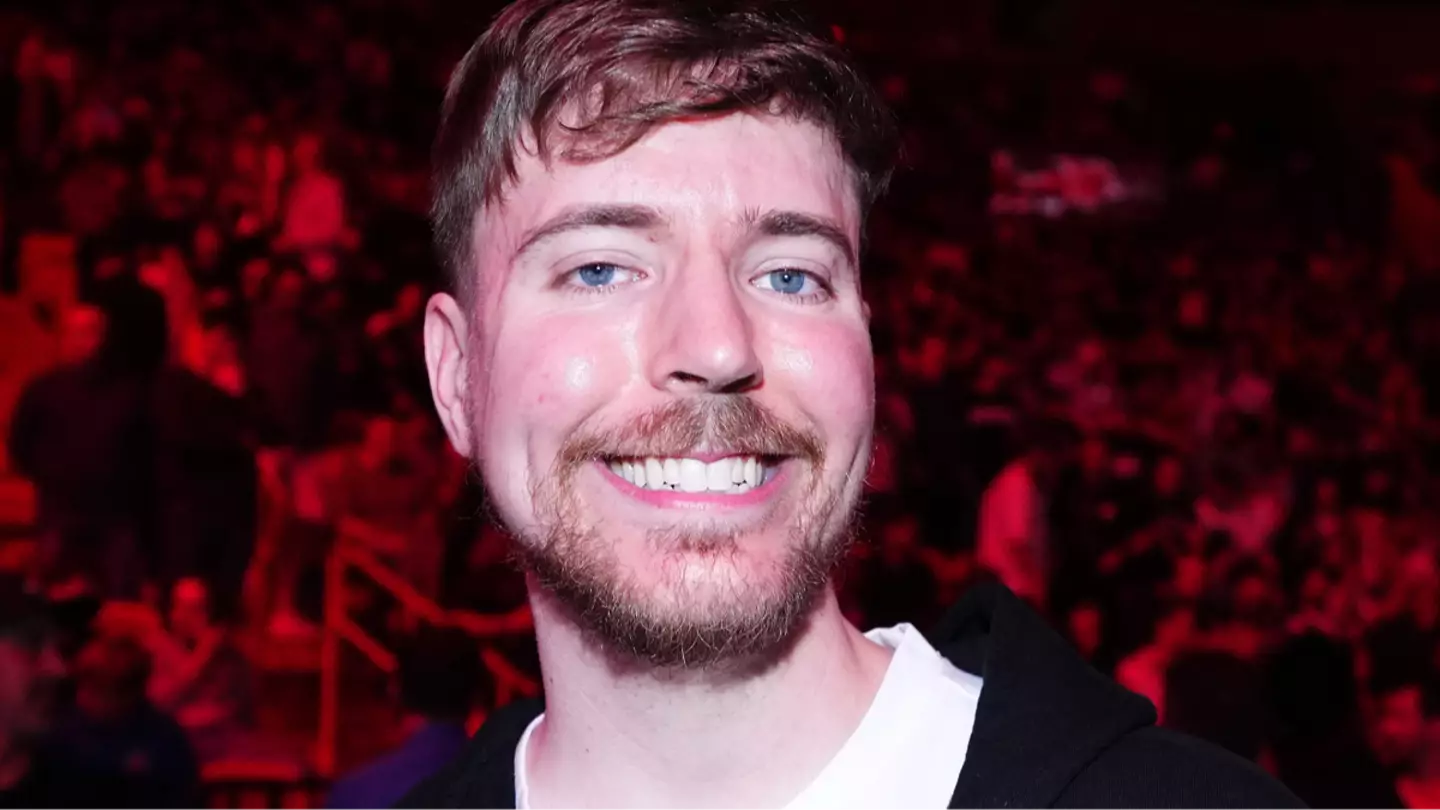 PETA responds after MrBeast seemingly asks volunteers to partake in '100 men vs gorilla' video