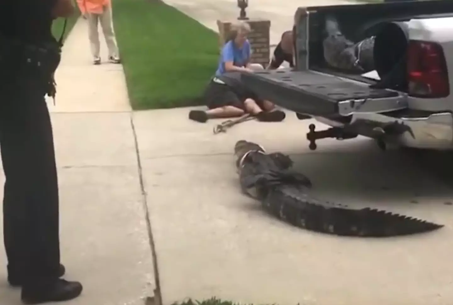The alligator was later re-captured and taken away.
