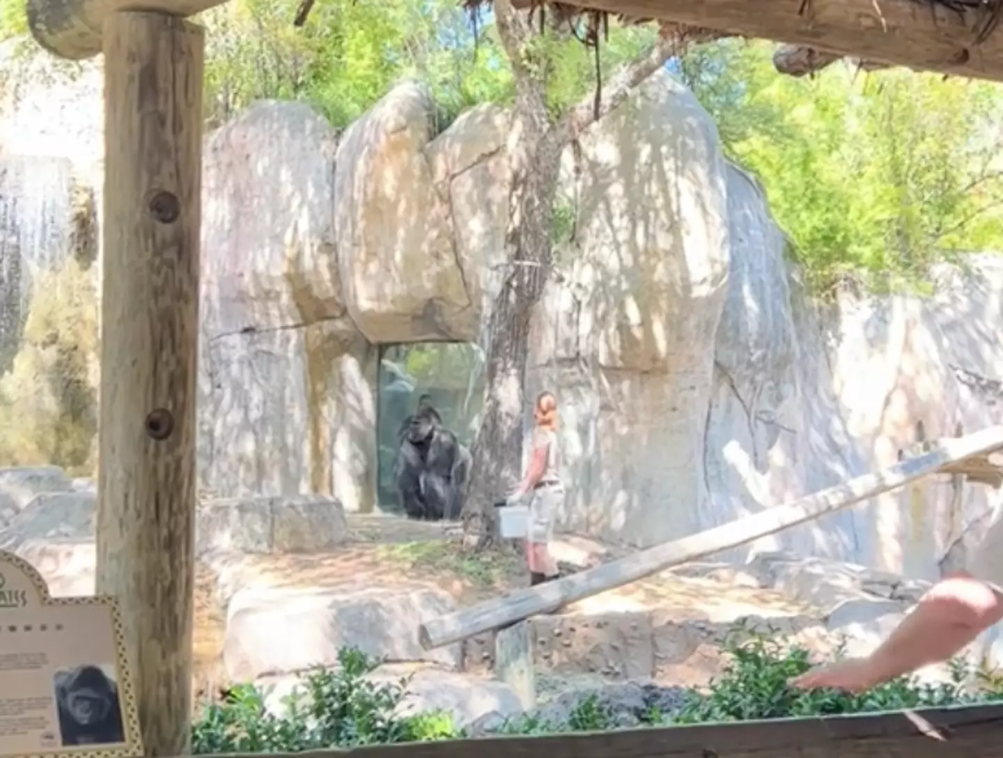 The second managed to run away.