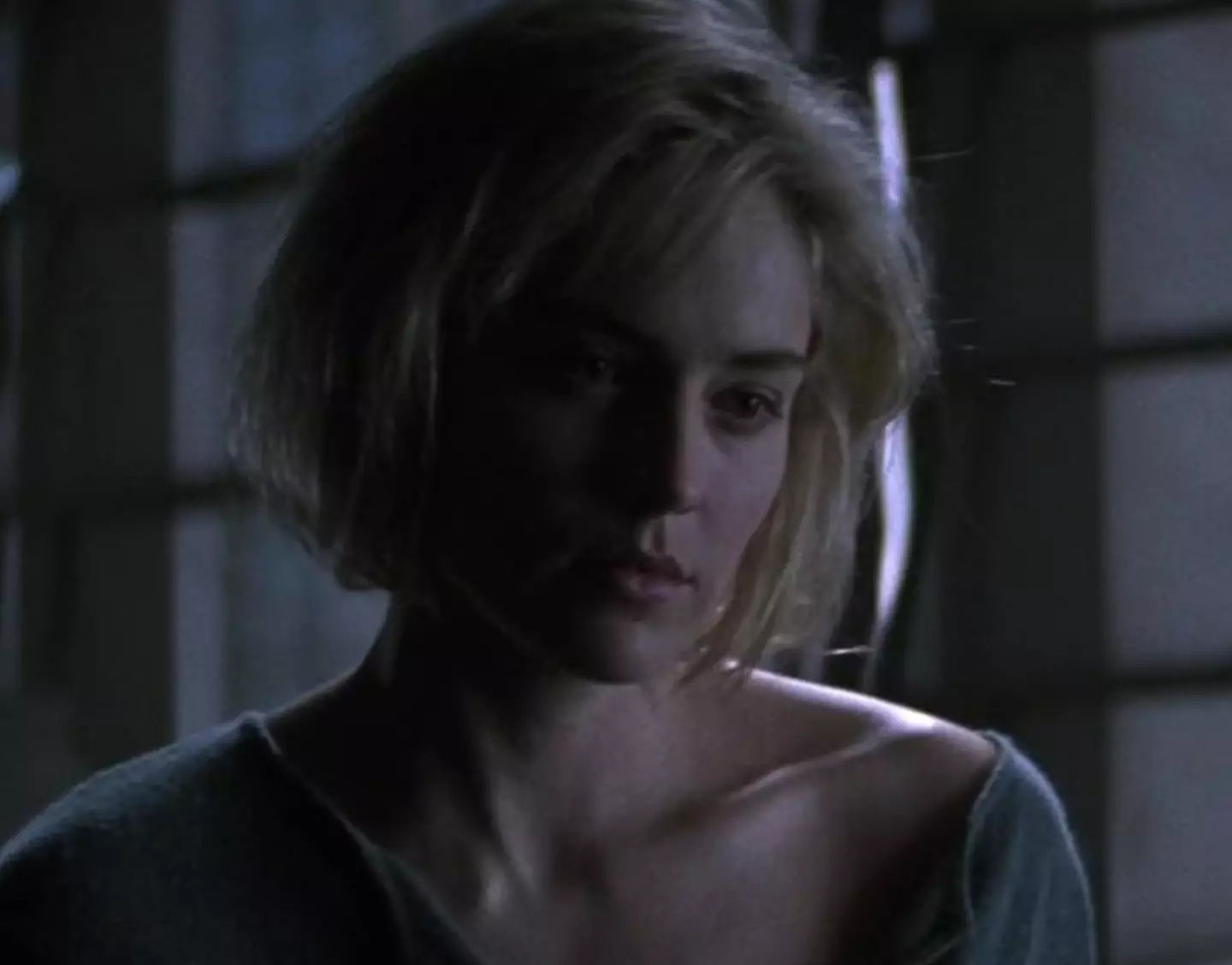 Sharon Stone starred alongside Billy Baldwin in Silver.