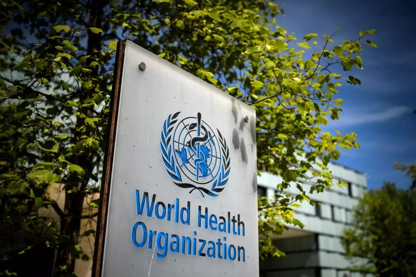 The World Health Organization said the outbreak began on January 21 (FABRICE COFFRINI/AFP via Getty Images)