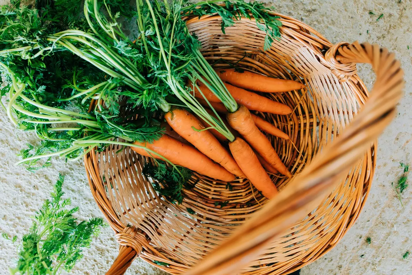 Carrots are good for you (Olga Pankova/Getty)