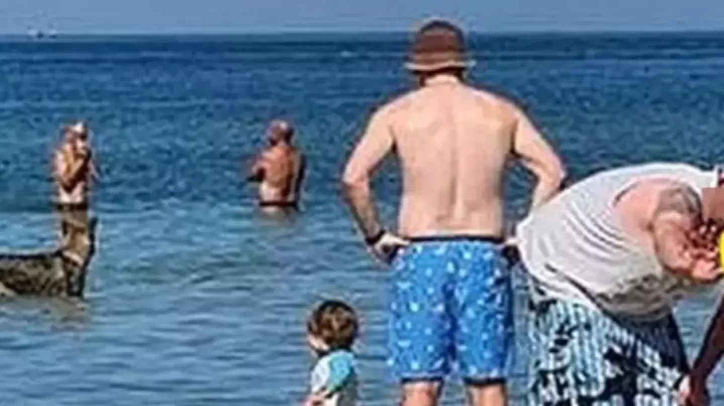 Family left horrified after spotting scary detail in background of beach photo