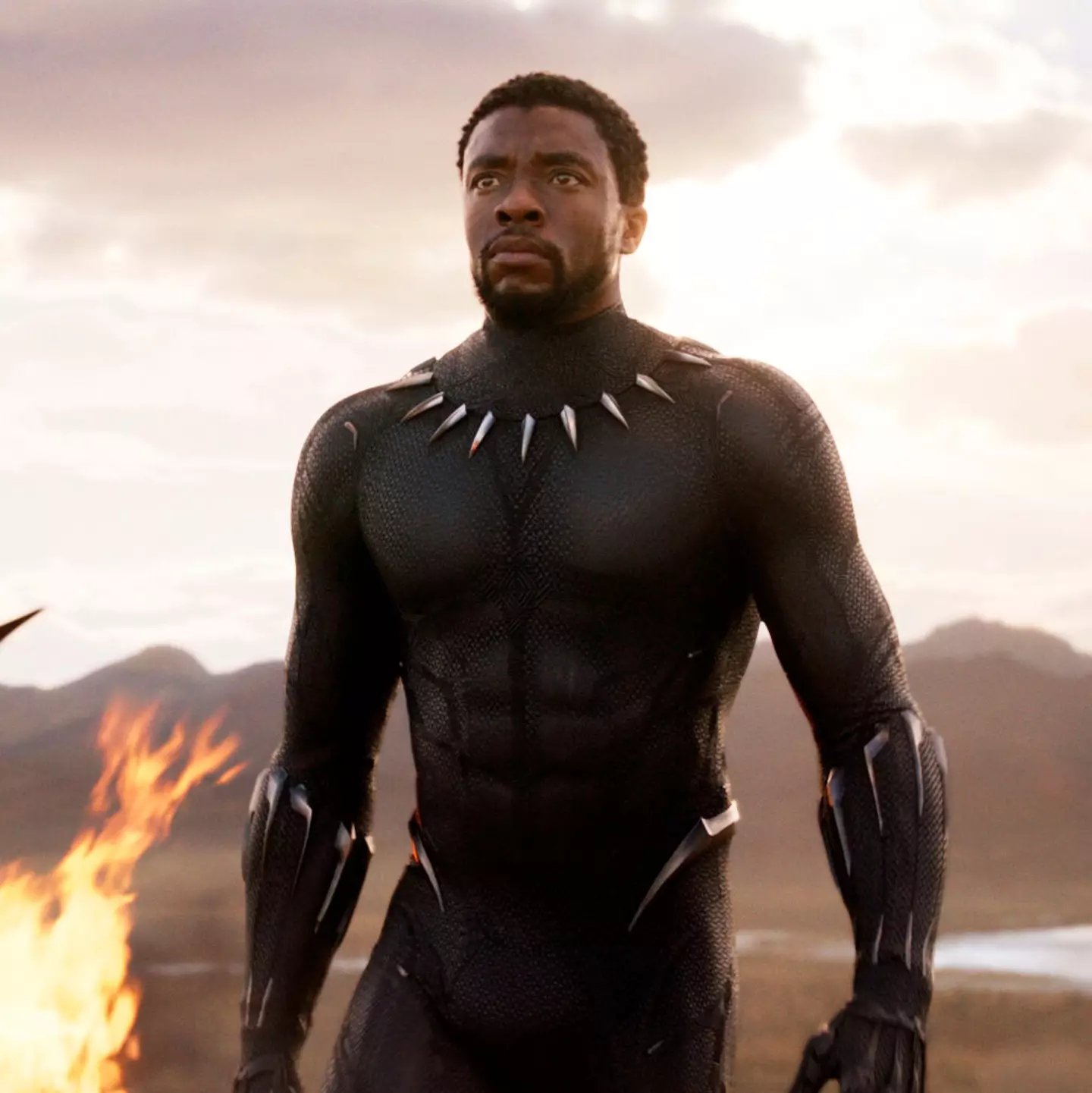 Chadwick Boseman as Black Panther.
