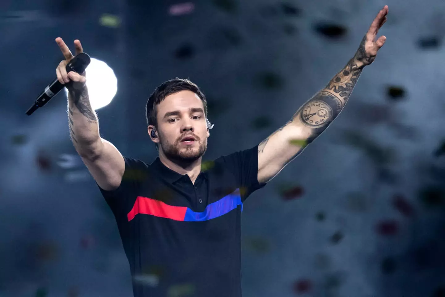 Liam Payne has died at the age of 31 (John Phillips/Getty Images)
