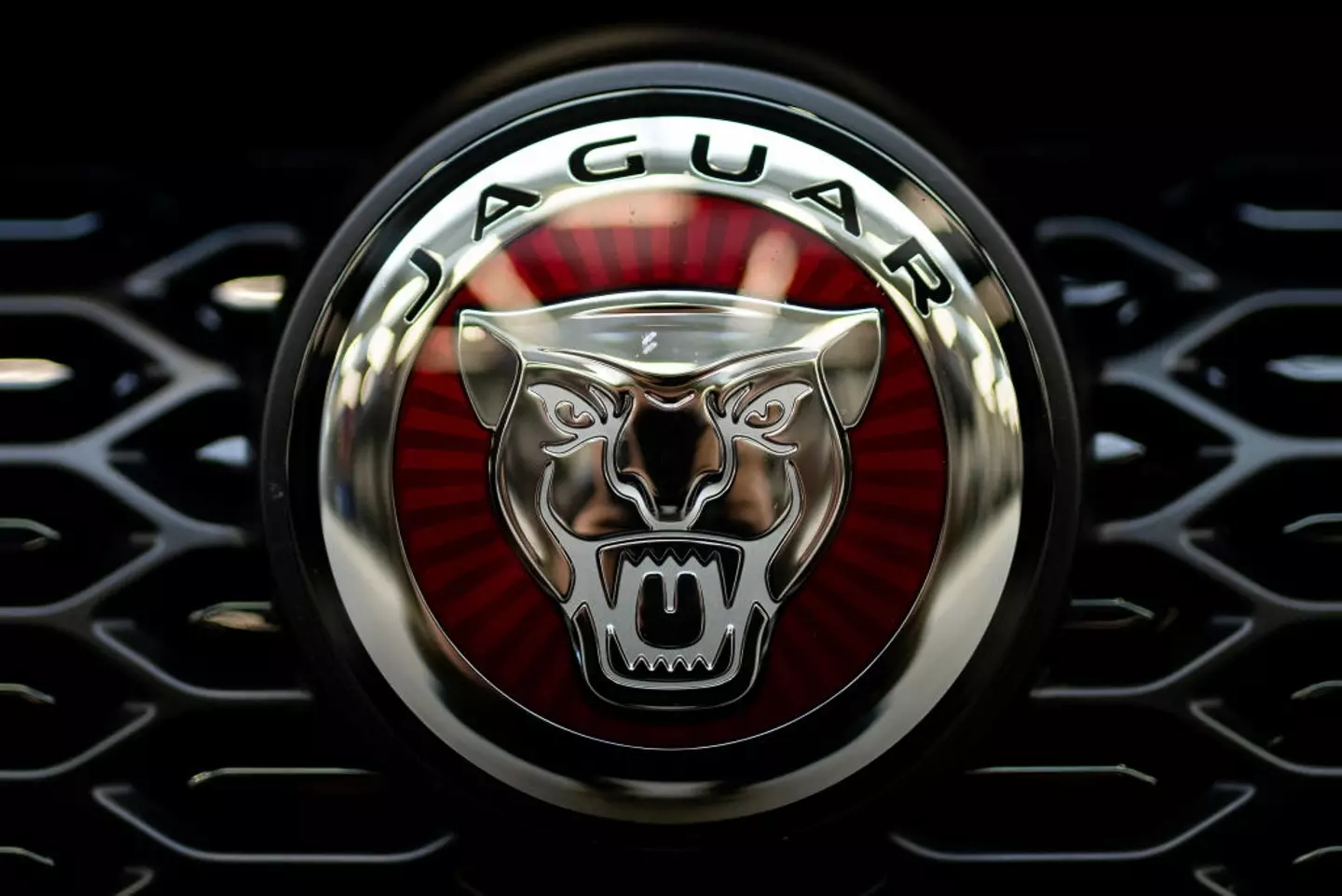 Jaguar is having a rebrand (Mateusz Slodkowski/SOPA Images/LightRocket via Getty Images)