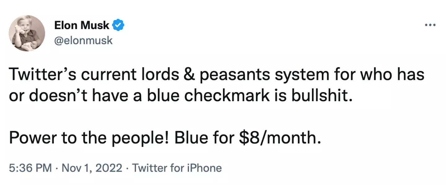 The billionaire has already started implementing changes, including charging users to have the blue tick verification on their accounts.