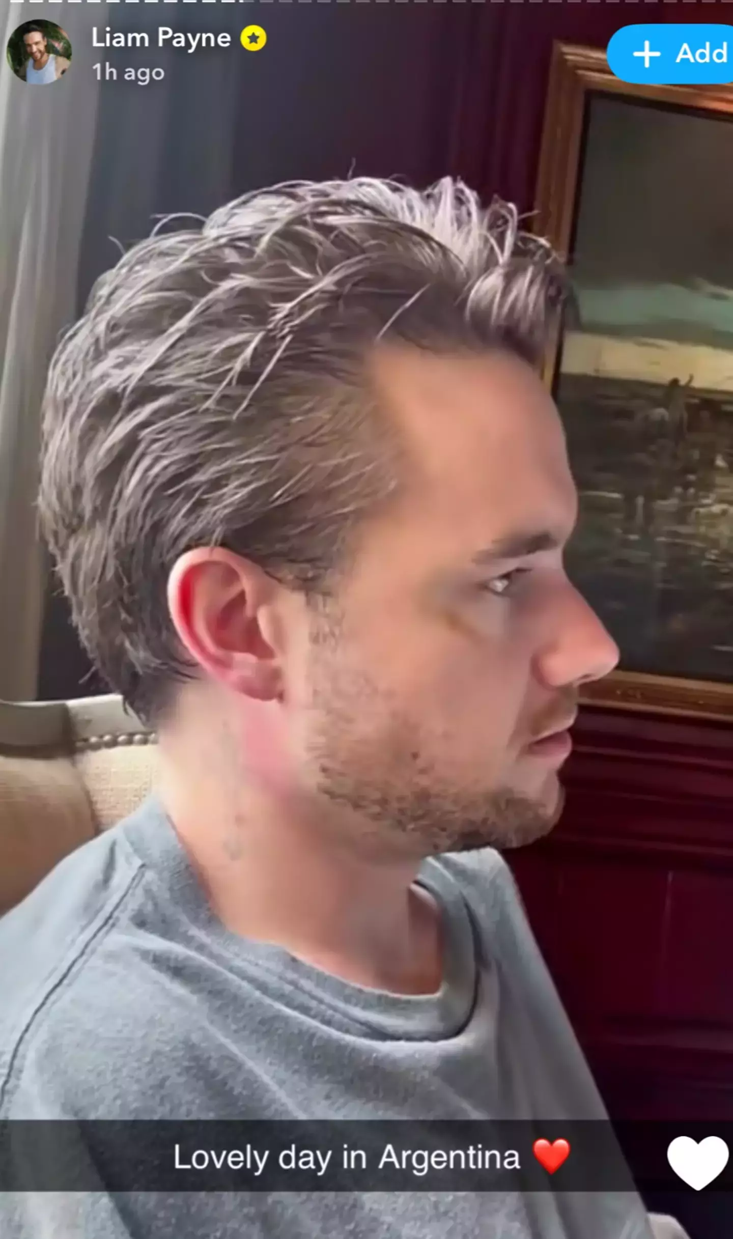 A story was shared to Payne's Snapchat an hour before he passed (Snapchat)