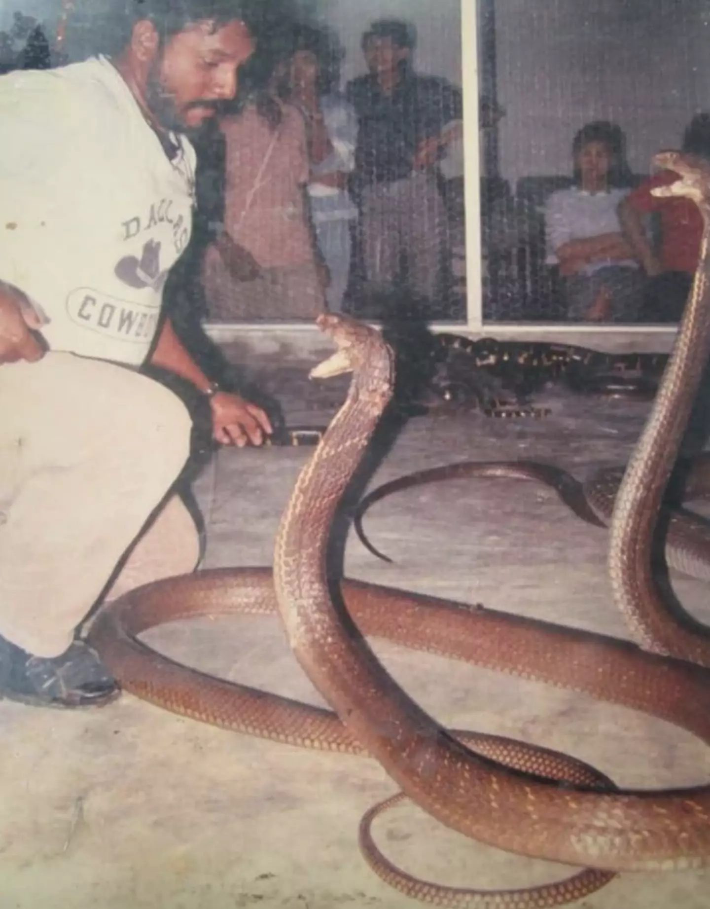 Ali Khan Samsudin earned himself the title of 'Snake King' after spending 40 days locked inside a small room with 400 cobras.