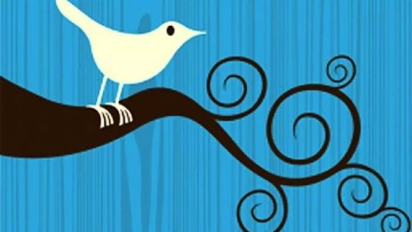 Simon Oxley designed the original image which Twitter then used for its first bird logo.