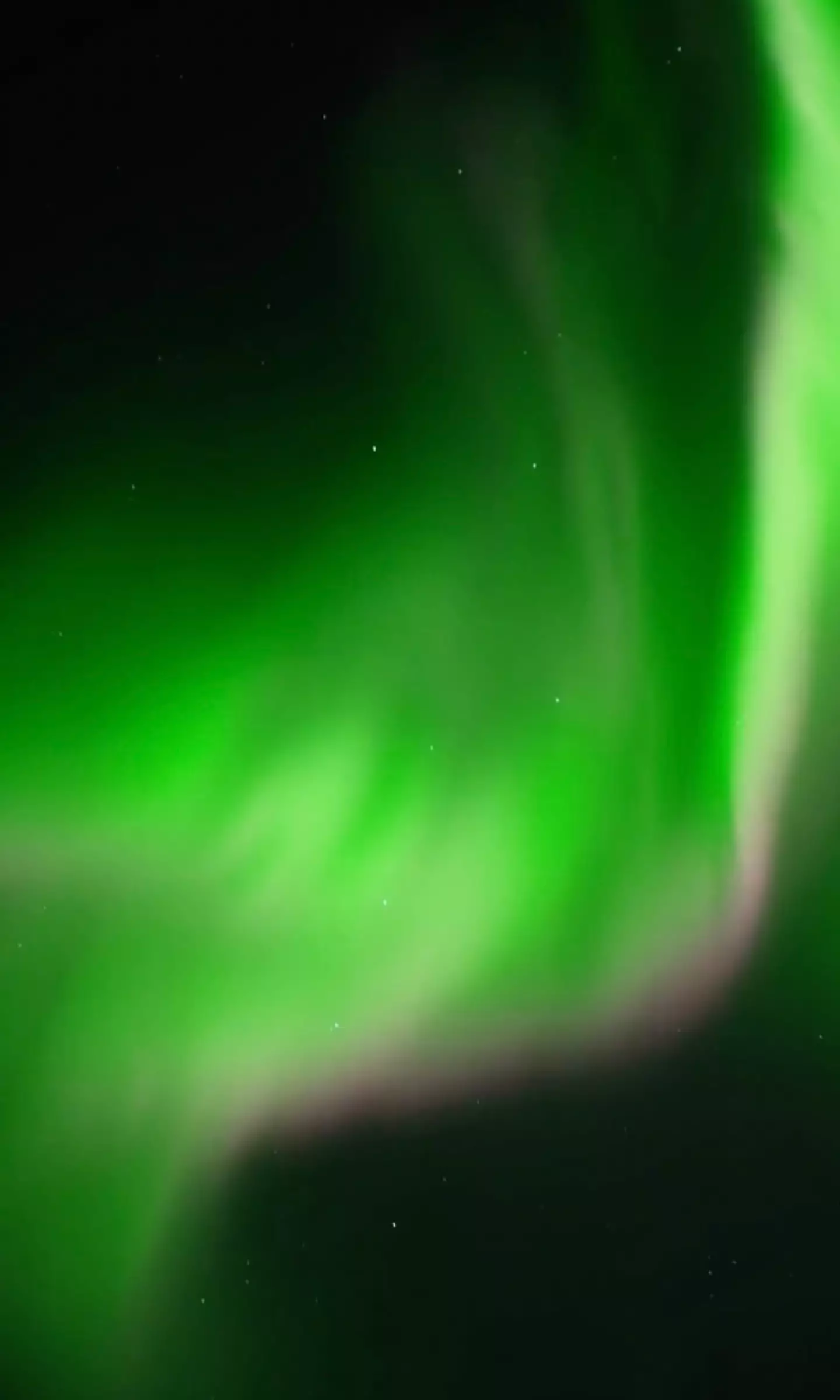 Look at those colours.