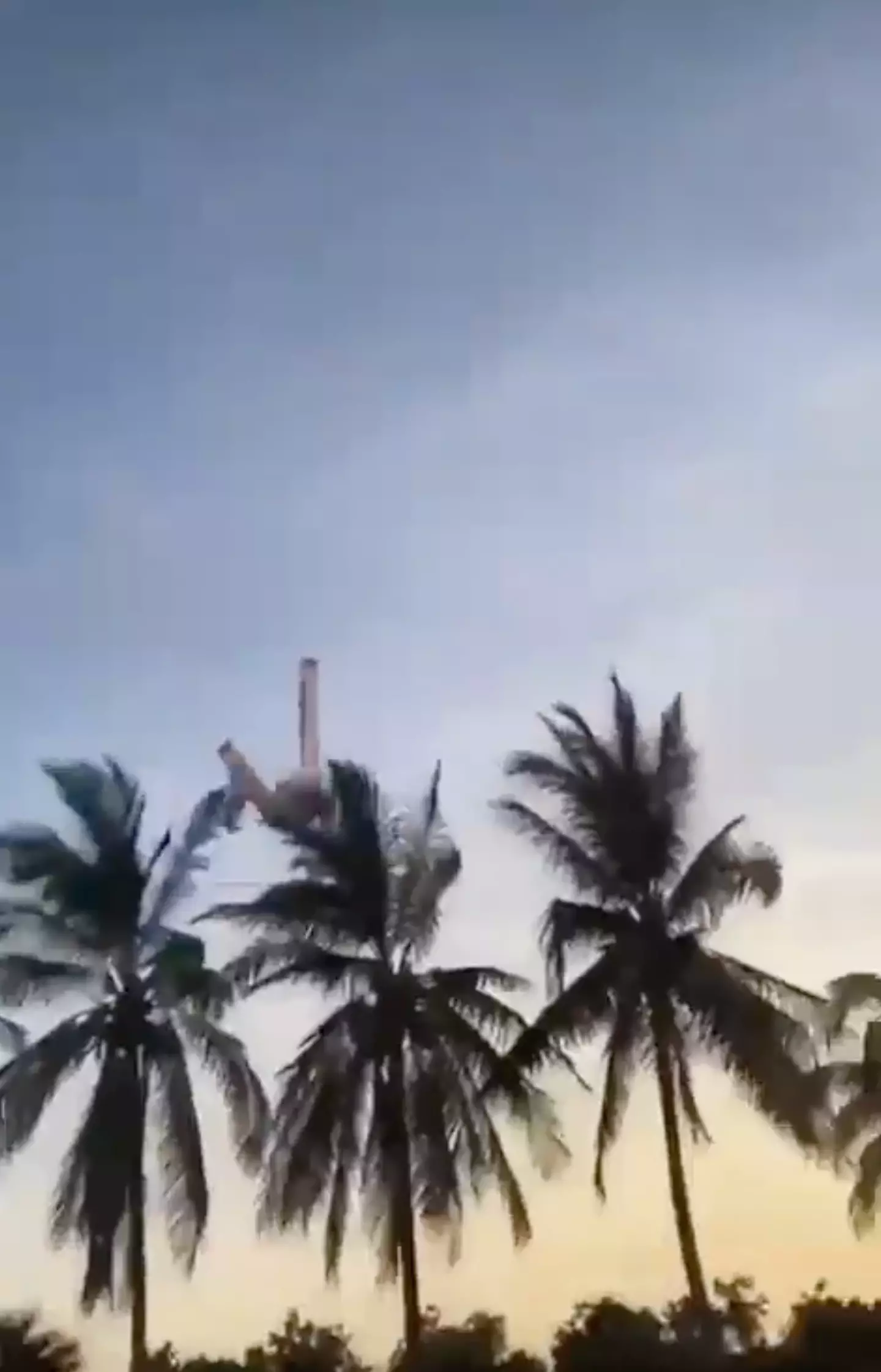 The pilot died after the stunt.