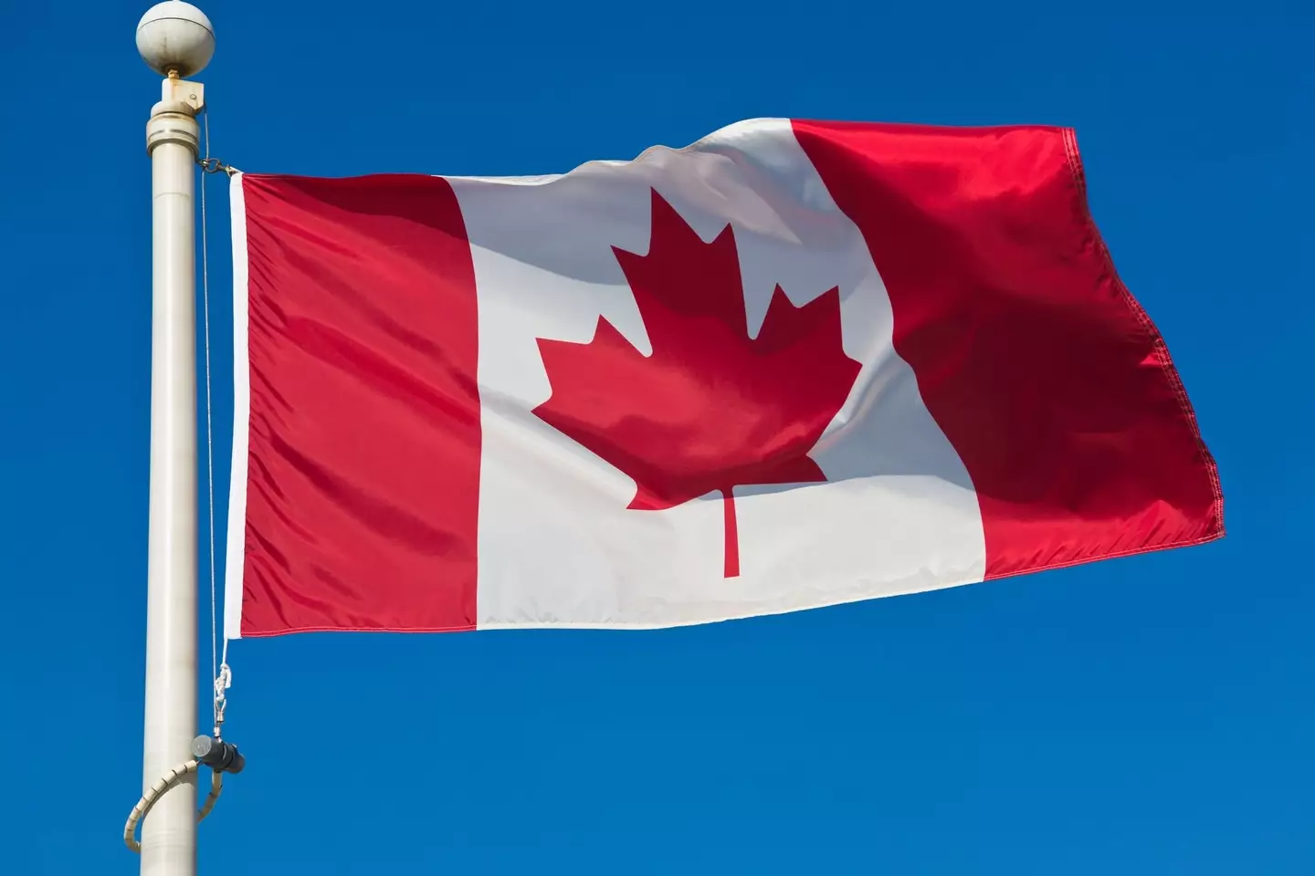 He incorrectly claimed that Canada was 'one of the highest tariffing nations' in the world (Getty Stock Image)