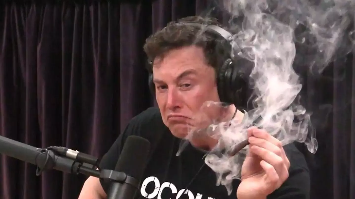 Elon Musk smoked weed while on Joe Rogan's show.