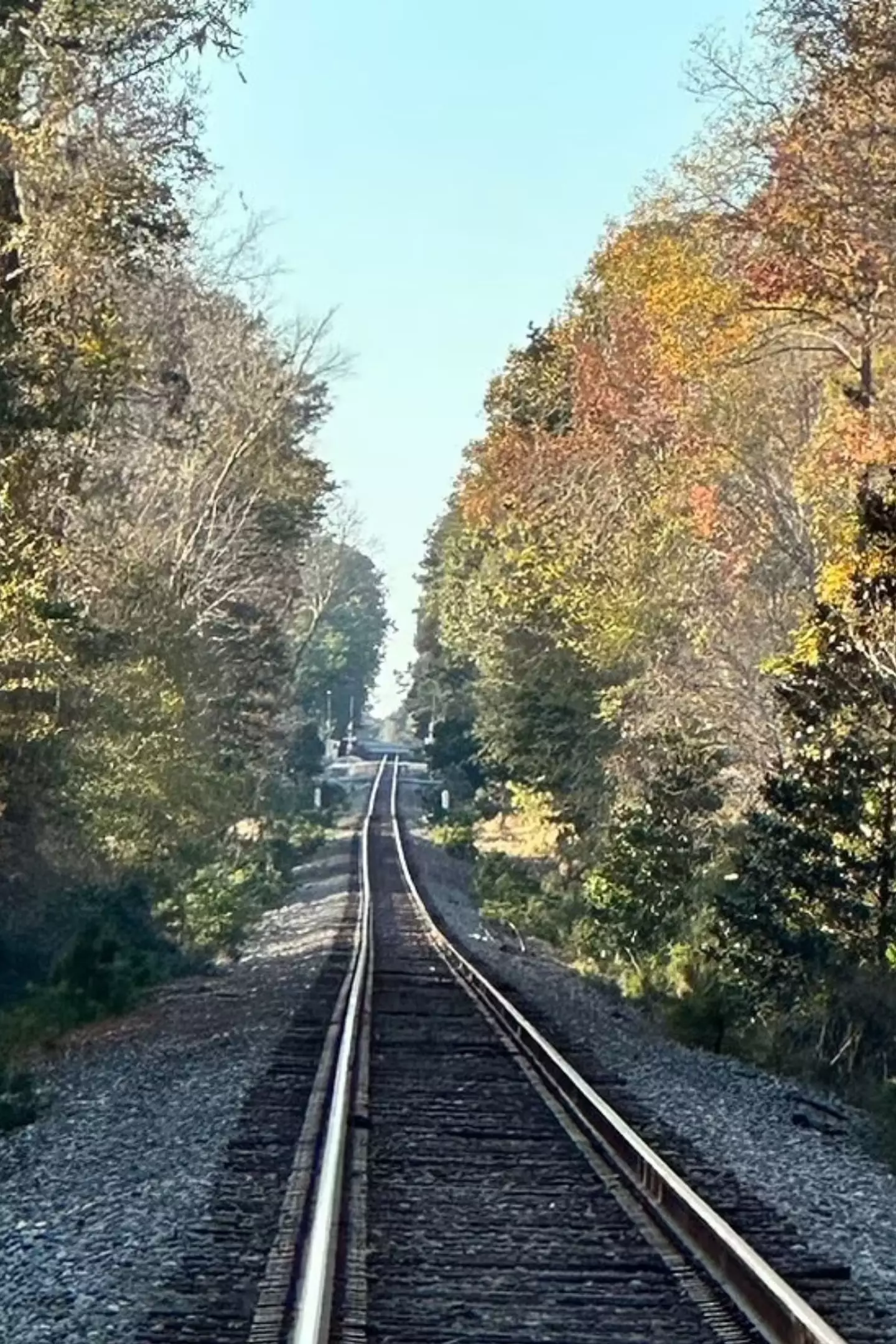 The secret of Summerville could lie within the nearby railway track (Susan Hough)
