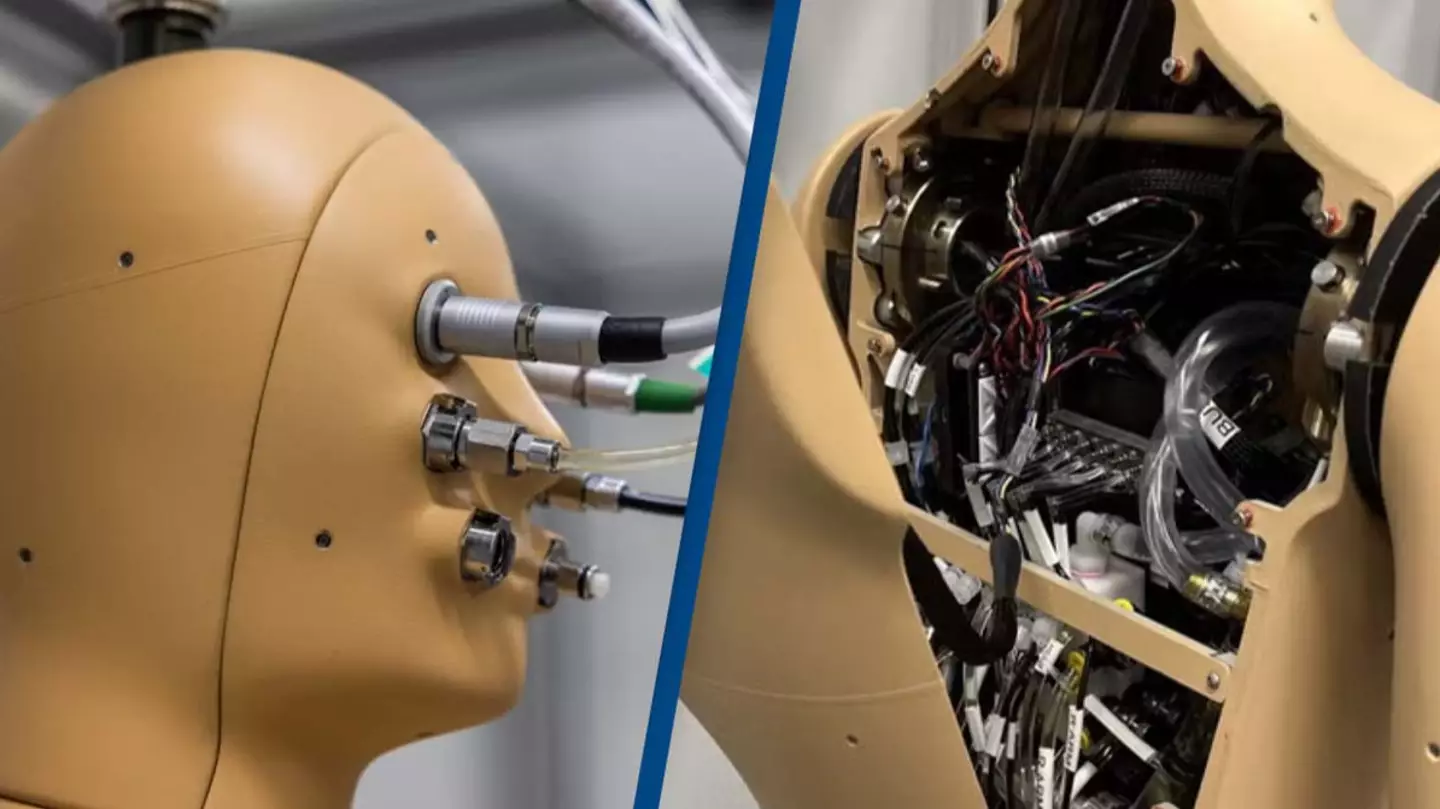 First ‘breathing, sweating, shivering’ robot has been invented by scientists