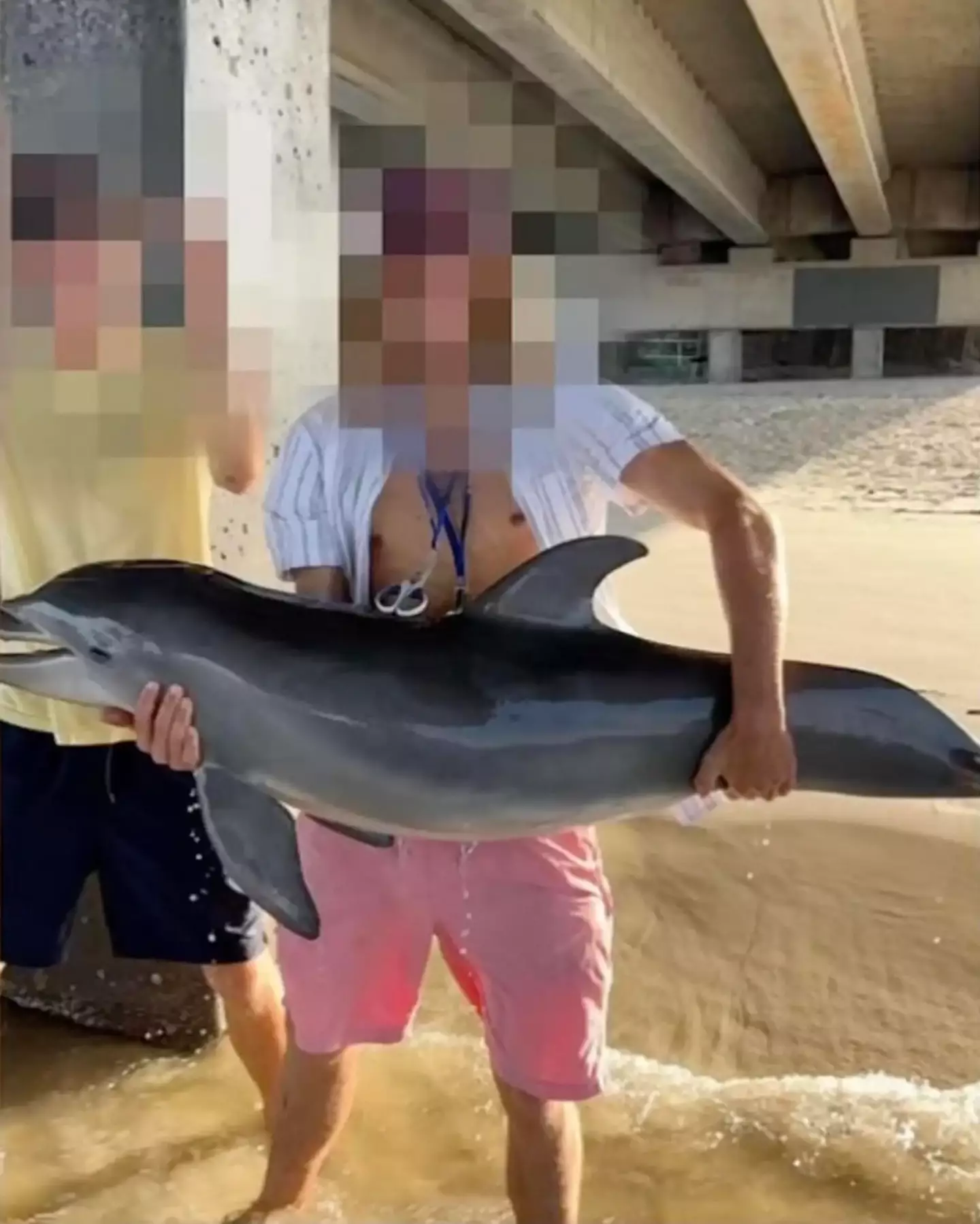 The teen posted a photo on Instagram holding the dolphin.