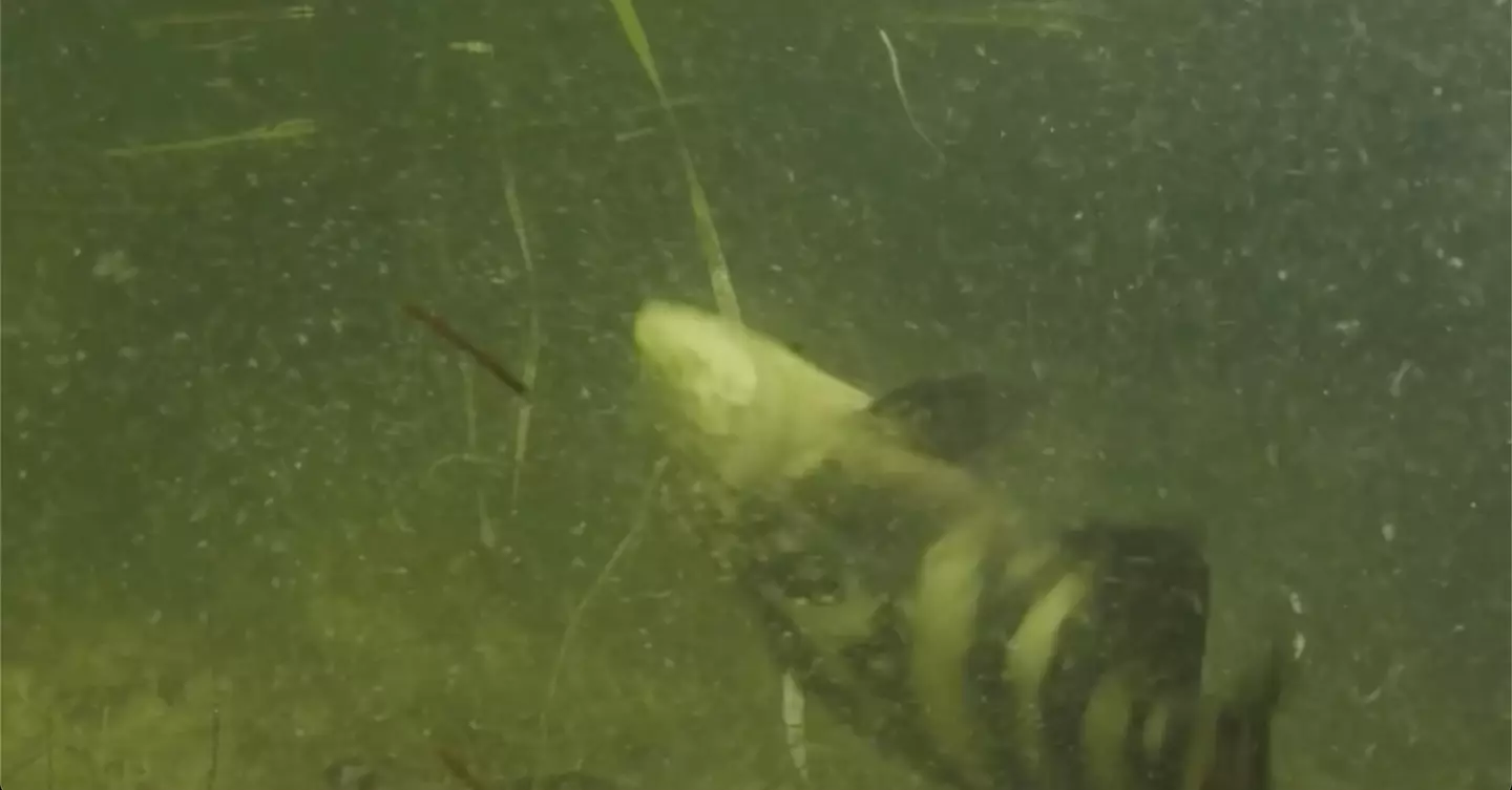 It's not clear what's causing the problem.