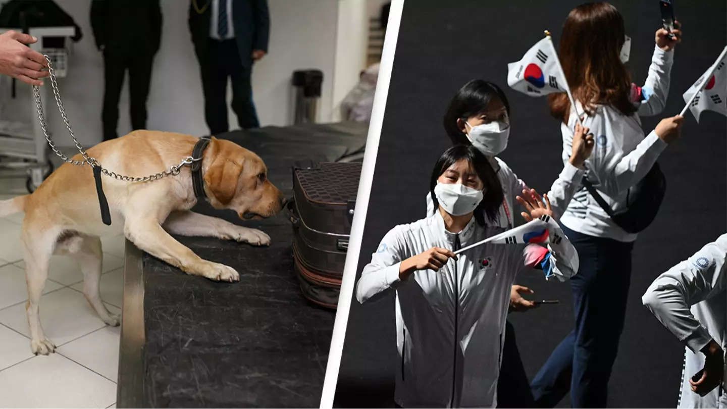 South Korea is using a sniffer dog to greet its Olympic athletes and fans at airport for bizarre reason