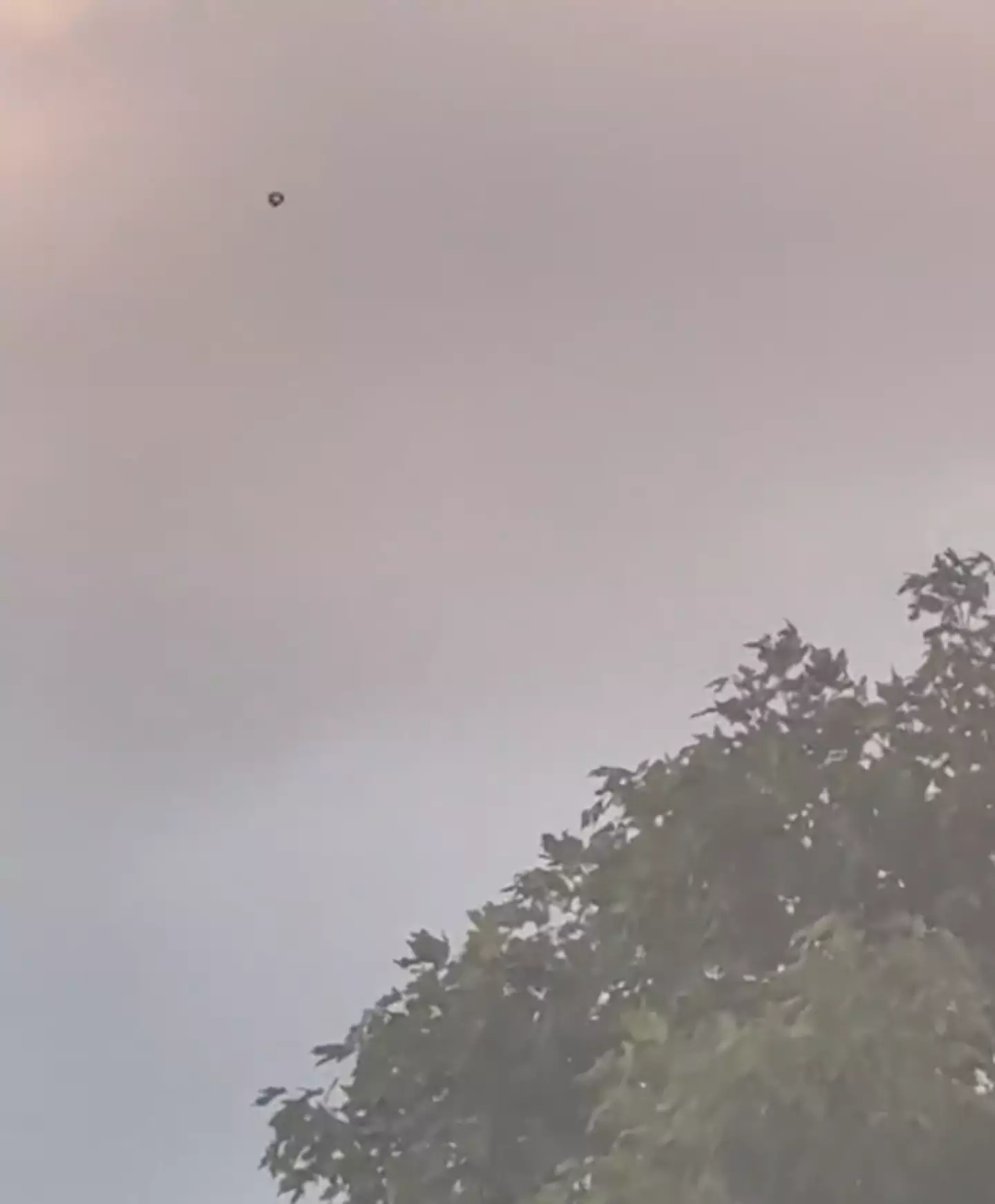 Is it a bird? Is it a plane? Well, according to some it's a UFO.