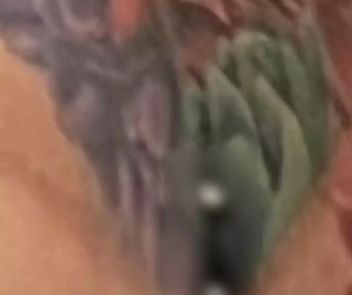 Cardi B's crack piercing apparently fell down the bog (Twitter/@iamcardib)