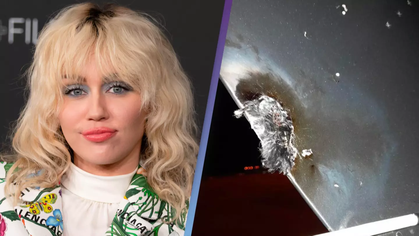 Miley Cyrus' Plane Struck By Lightning And Forced To Make Emergency Landing