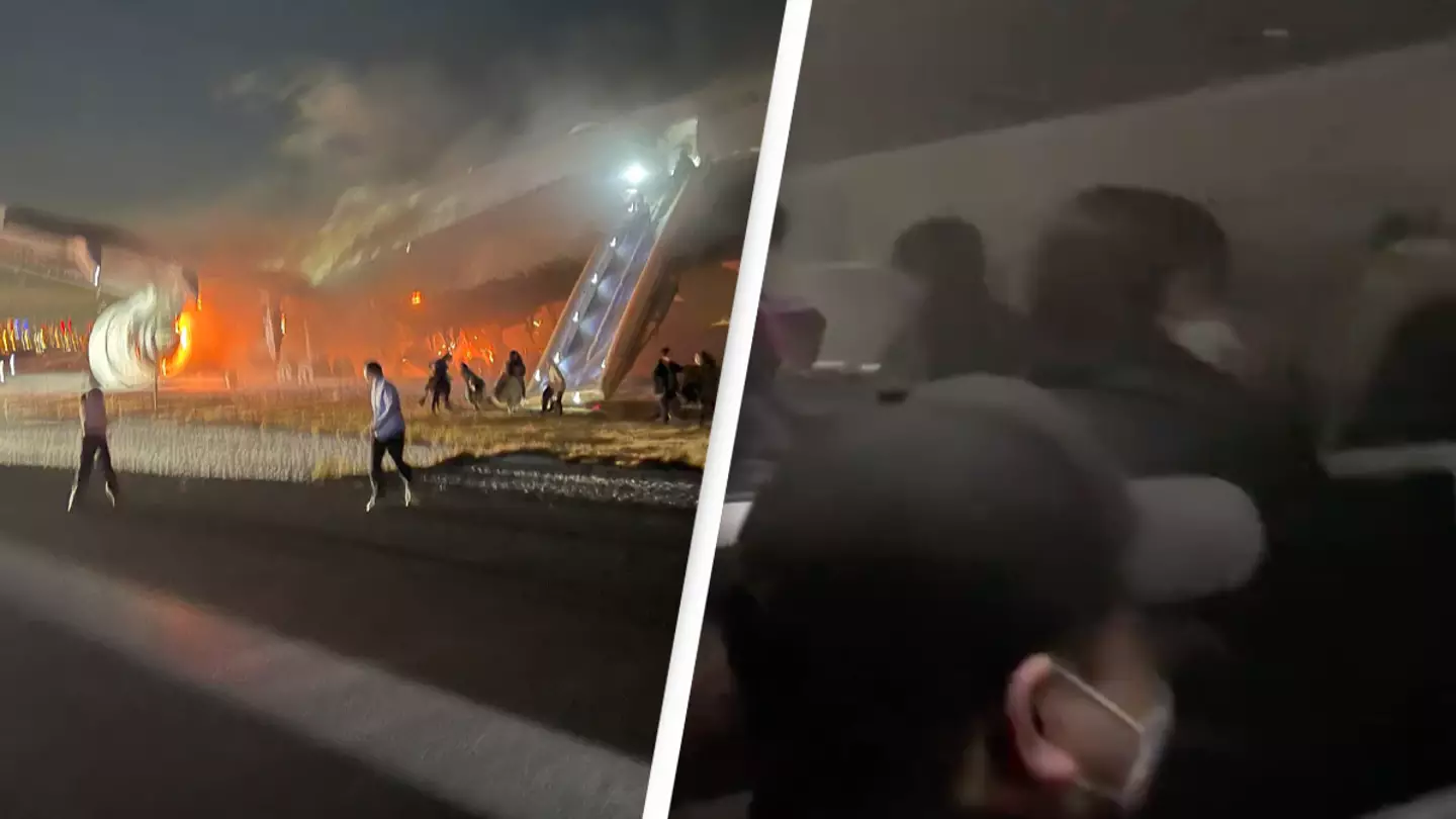 Terrified passengers run to safety after Japan Airlines plane burst into flames as it landed