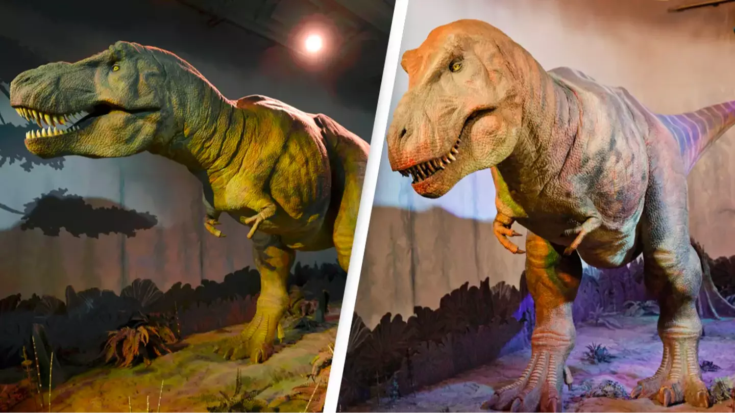 T-rexes discovered to look completely different to how they've been pictured all this time