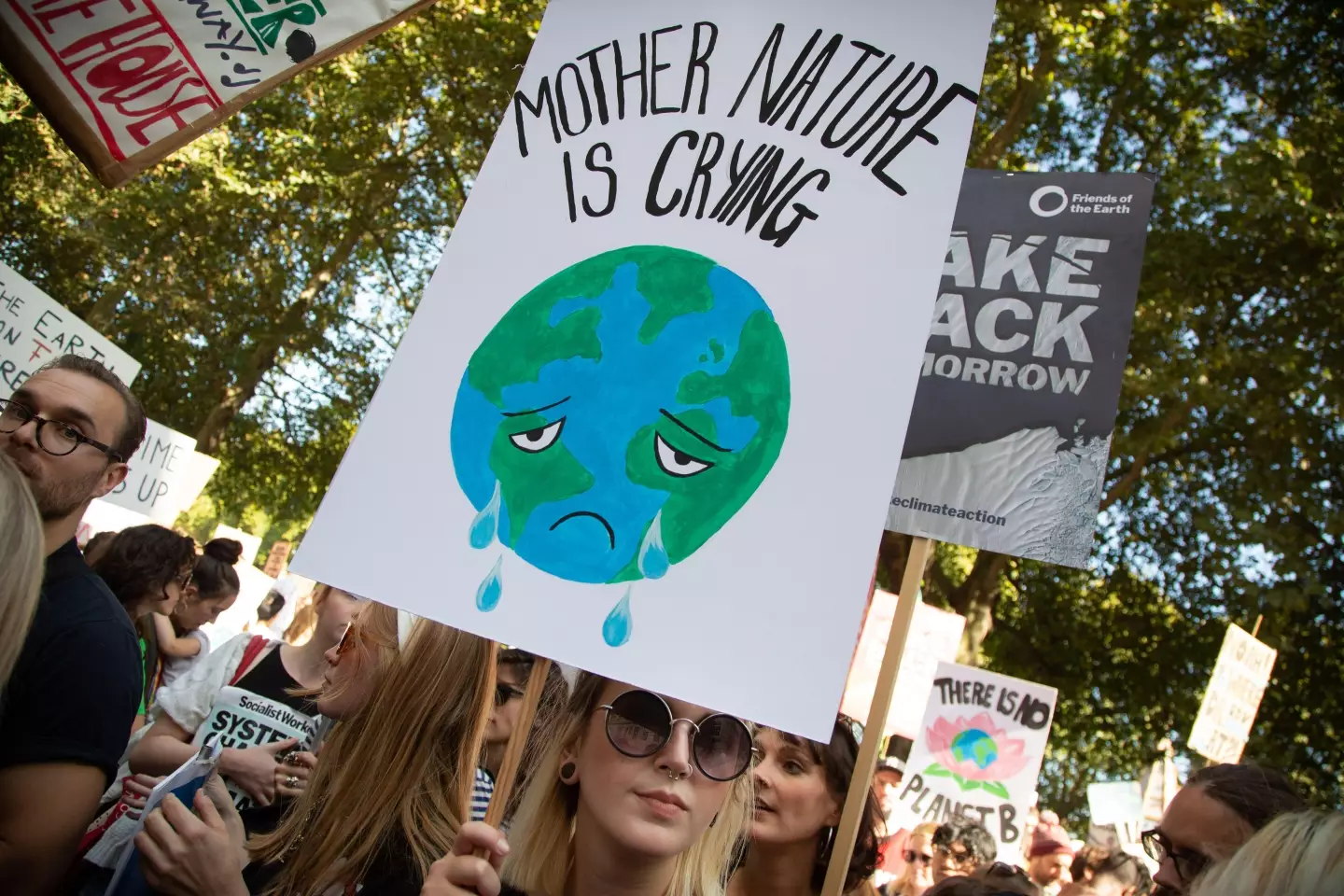 Scientists have warned about the ‘sixth mass extinction’.