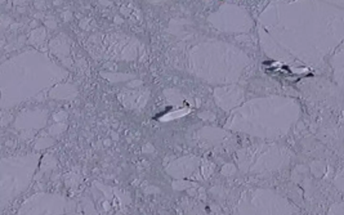 The so-called 'ship' was lying on its side in the ice.