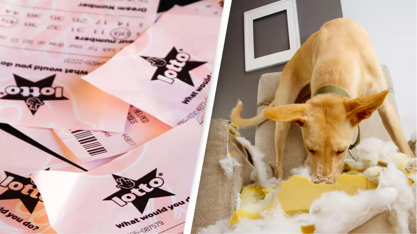 Couple claim dog ate their winning lottery ticket