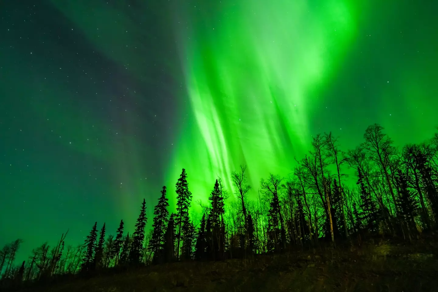 The aurora will be visible in up to 22 US states (Hasan Akbas/Anadolu via Getty Images)