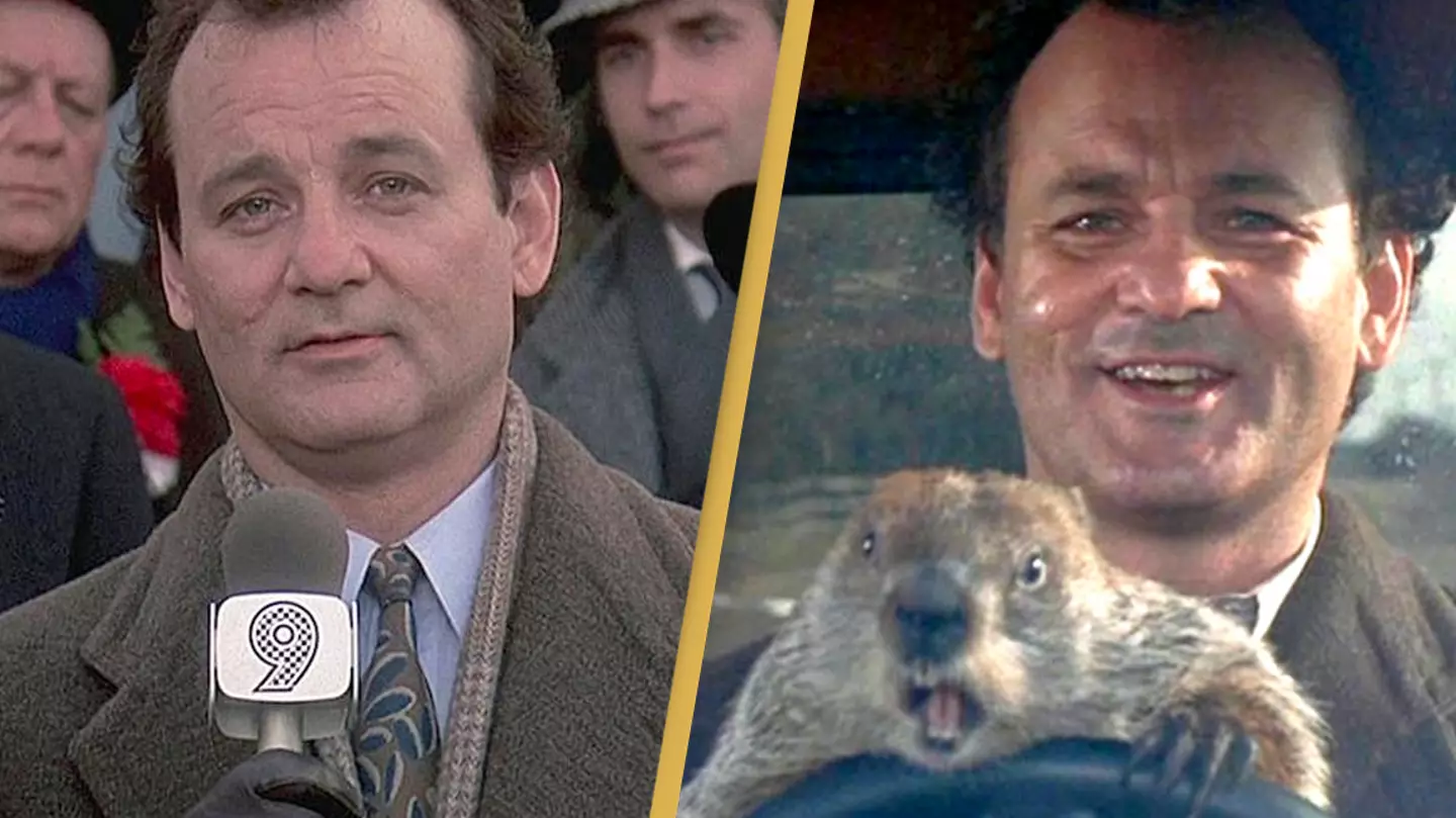 Bill Murray fans believe Groundhog Day is the actor's best film