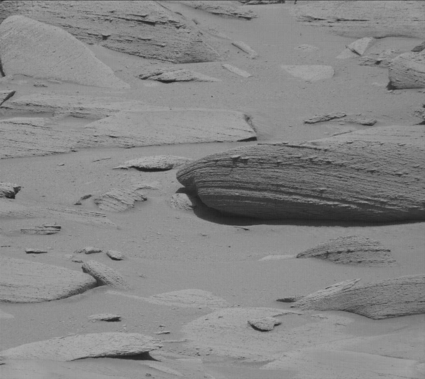 Yeah, these dragon bones are probably just a suspicious looking rock.
