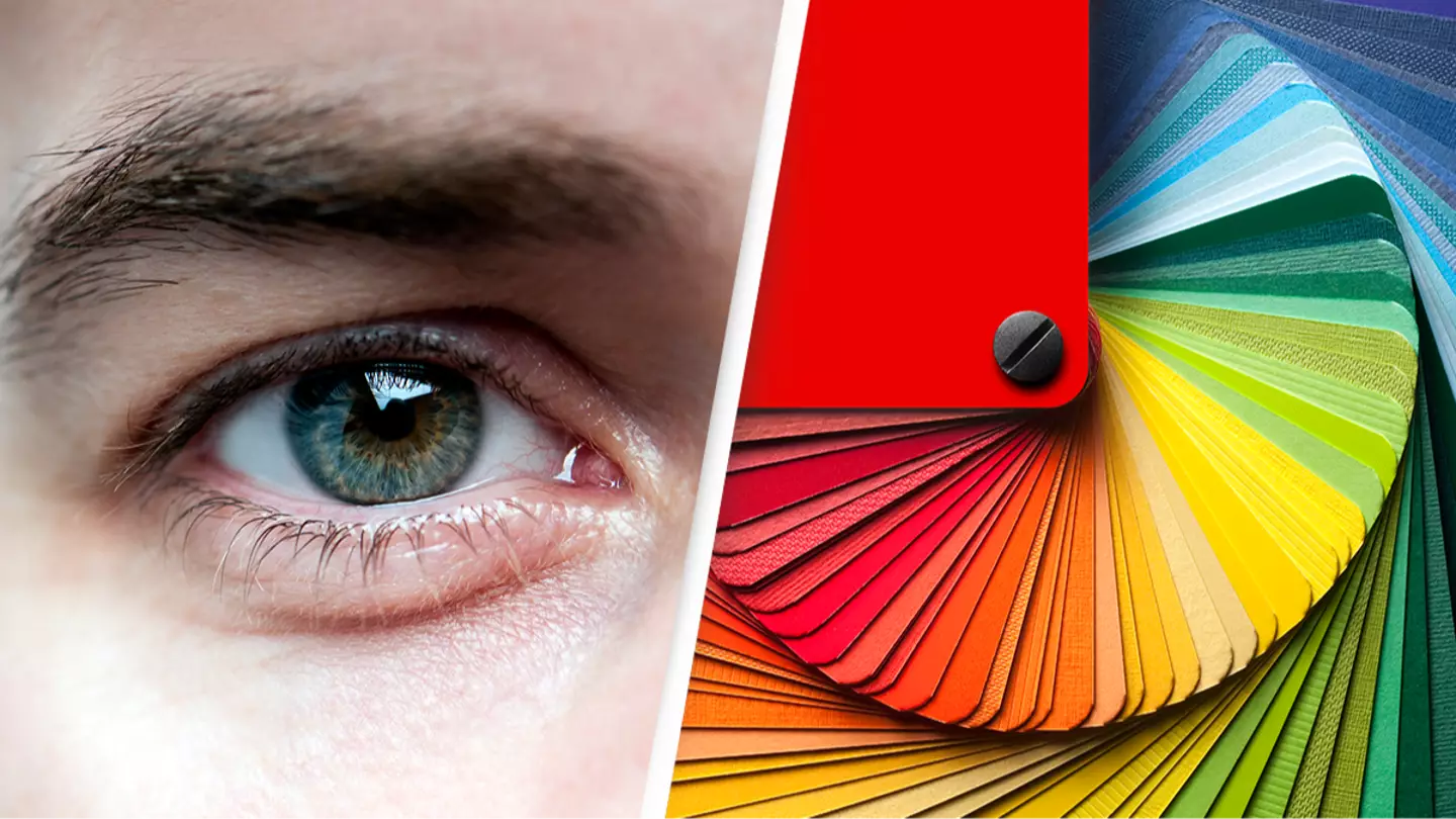 Rare condition allows people to see up to 99,000,000 more colors than 'ordinary' humans