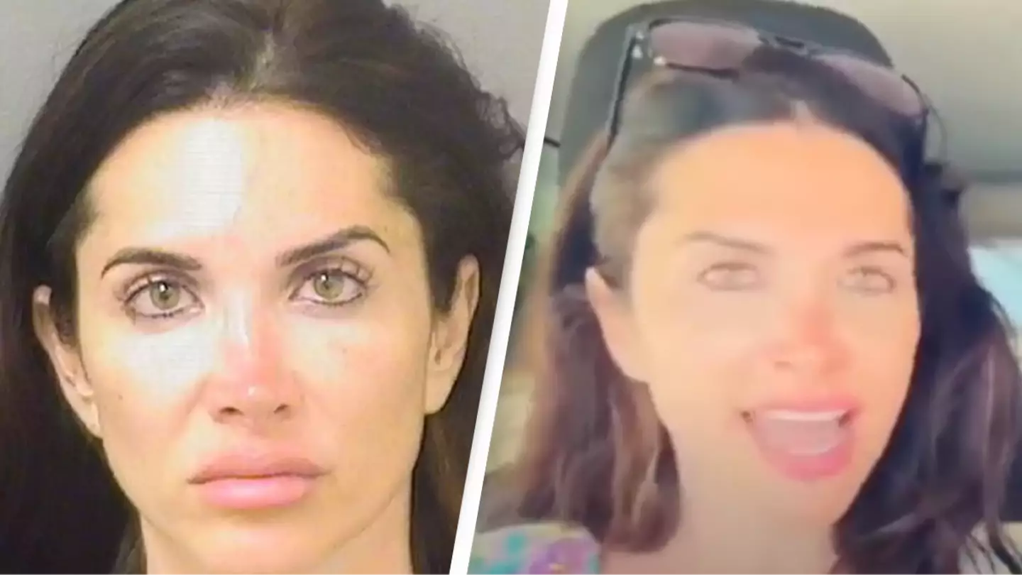 Former Howard Stern writer pleads guilty to battery after repeatedly hitting man in livestream that went viral