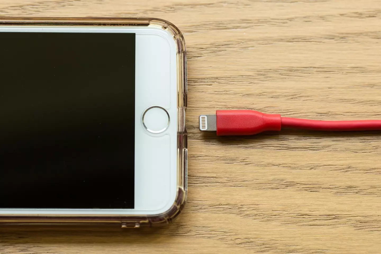 Apple's charging cables are currently smaller than USB-C.