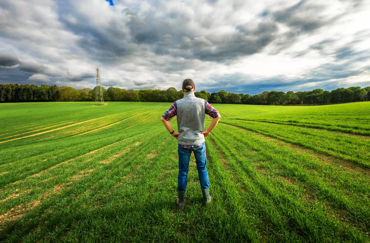 Farmers may now be struggling despite Trump's promises (Getty Stock Image)