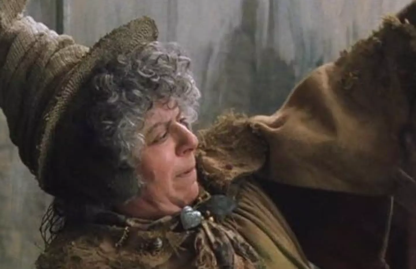 Miriam Margoyles in Harry Potter. (Warner Brothers)