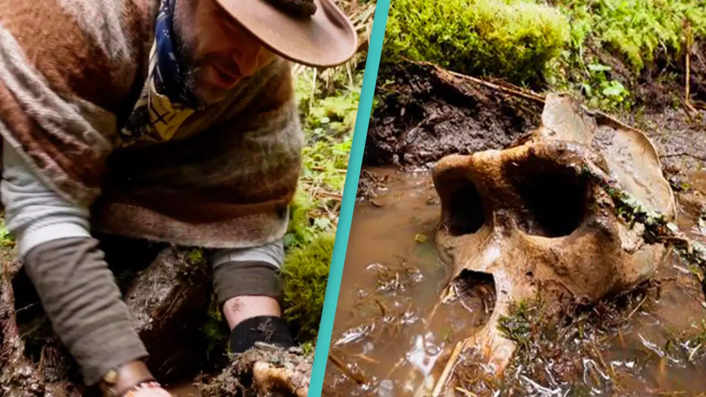 Brave Wilderness/YouTube