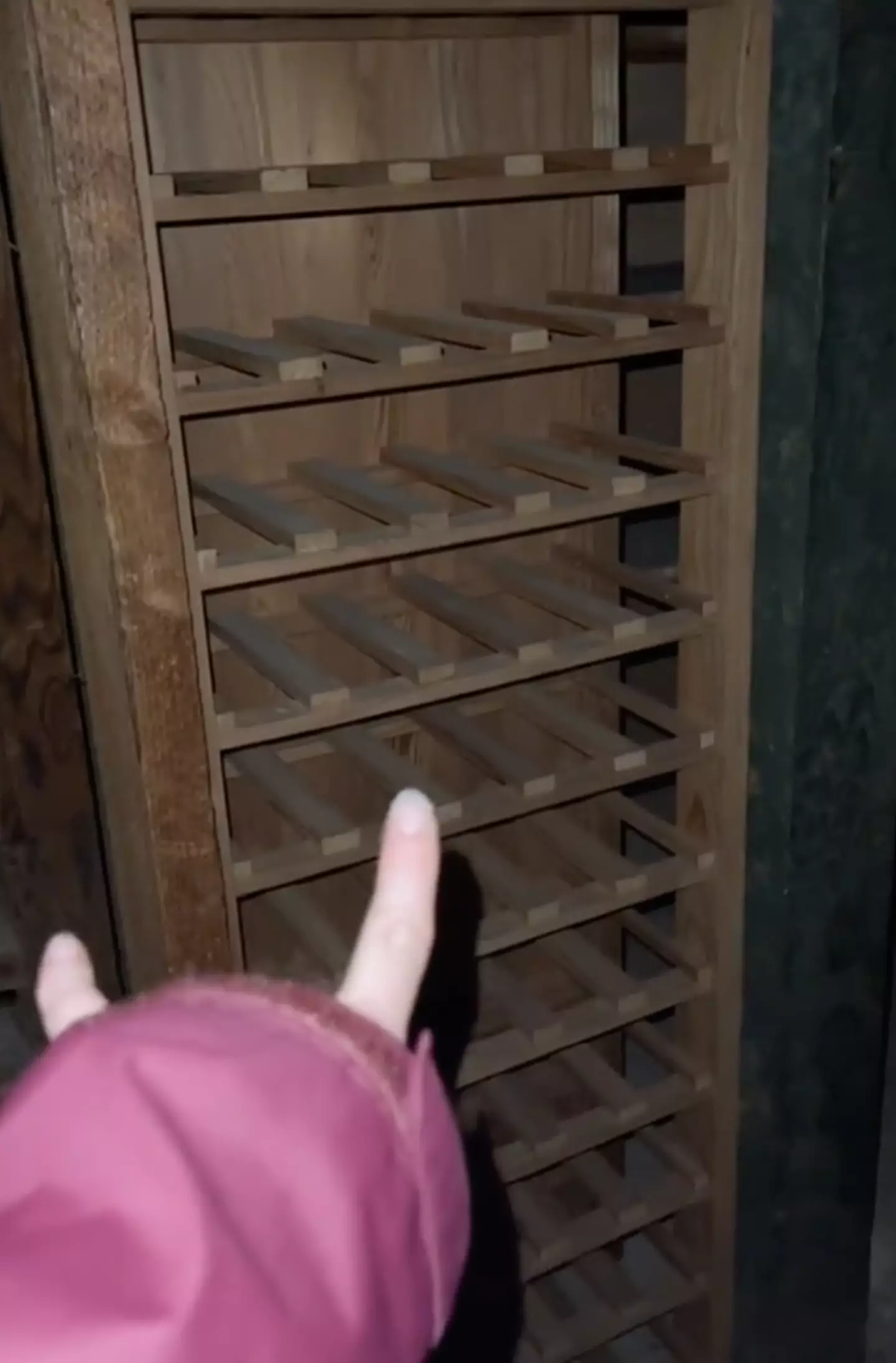 Julia eventually went down into the secret room. (TikTok/@iamjuliahenning)