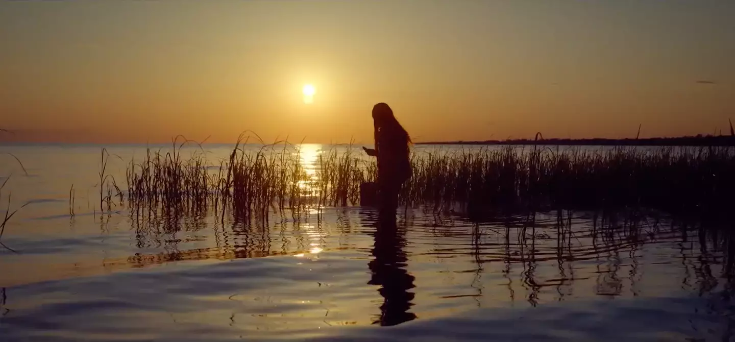 When the Crawdads Sing has been a hit with Netflix subscribers.