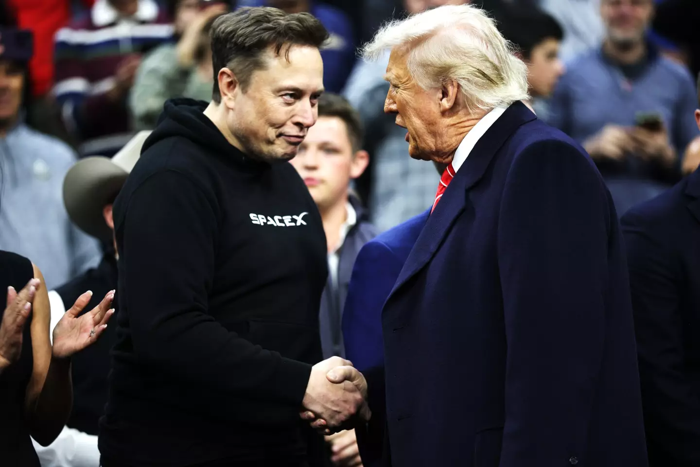 Elon Musk works closely with President Trump in government (Kayla Bartkowski/Getty Images)