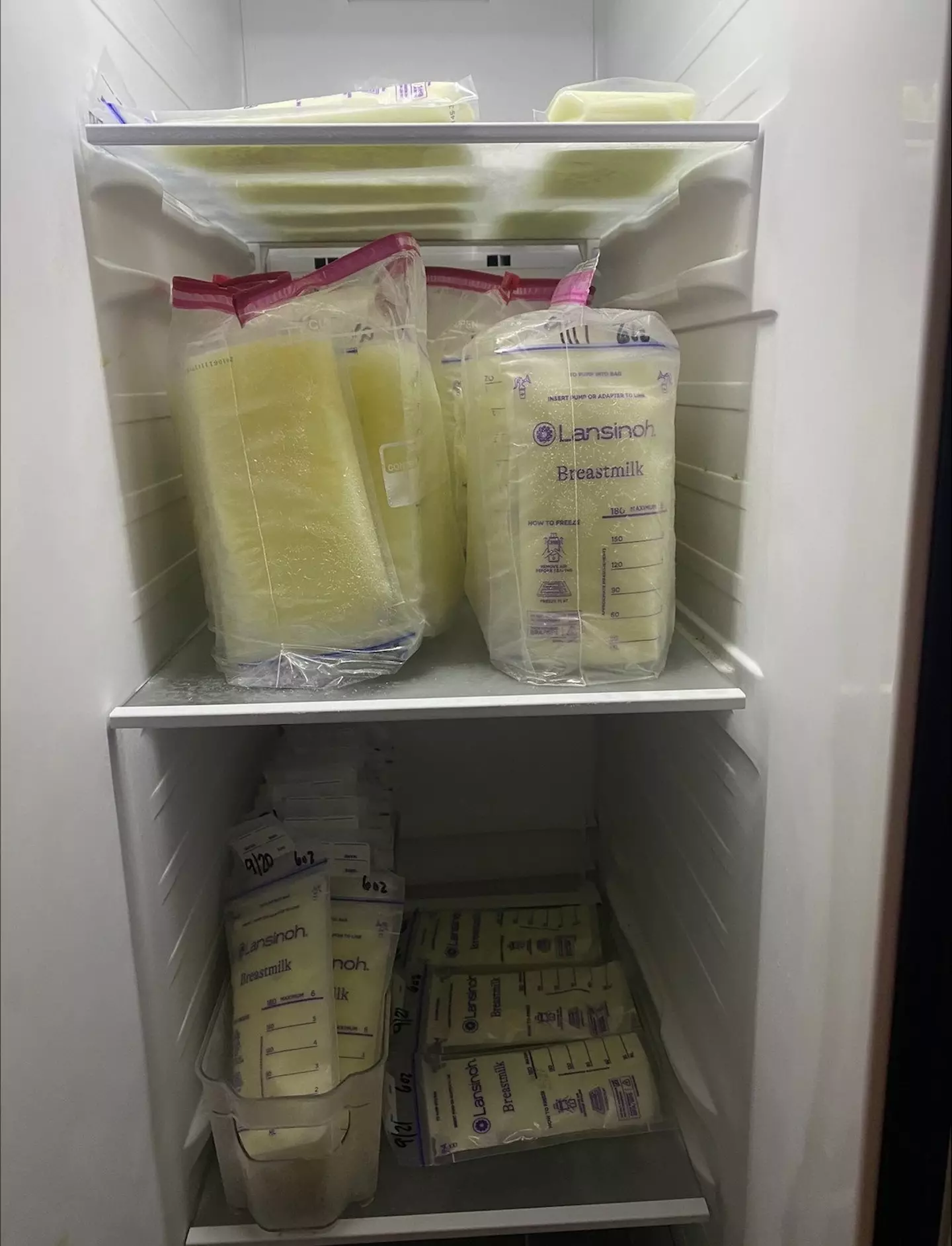 McKenzie bought a second fridge to help store her breast milk which bodybuilders can't get enough of (SNWS)