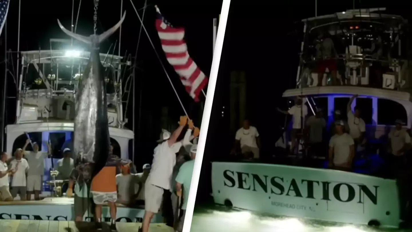 Fishing crew denied $3.5 million prize after 600-lb marlin gets disqualified in tournament