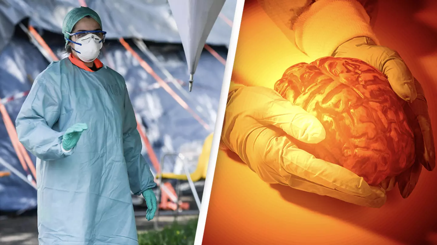 Covid-19 Can Cause The Brain To Shrink, New Study Finds