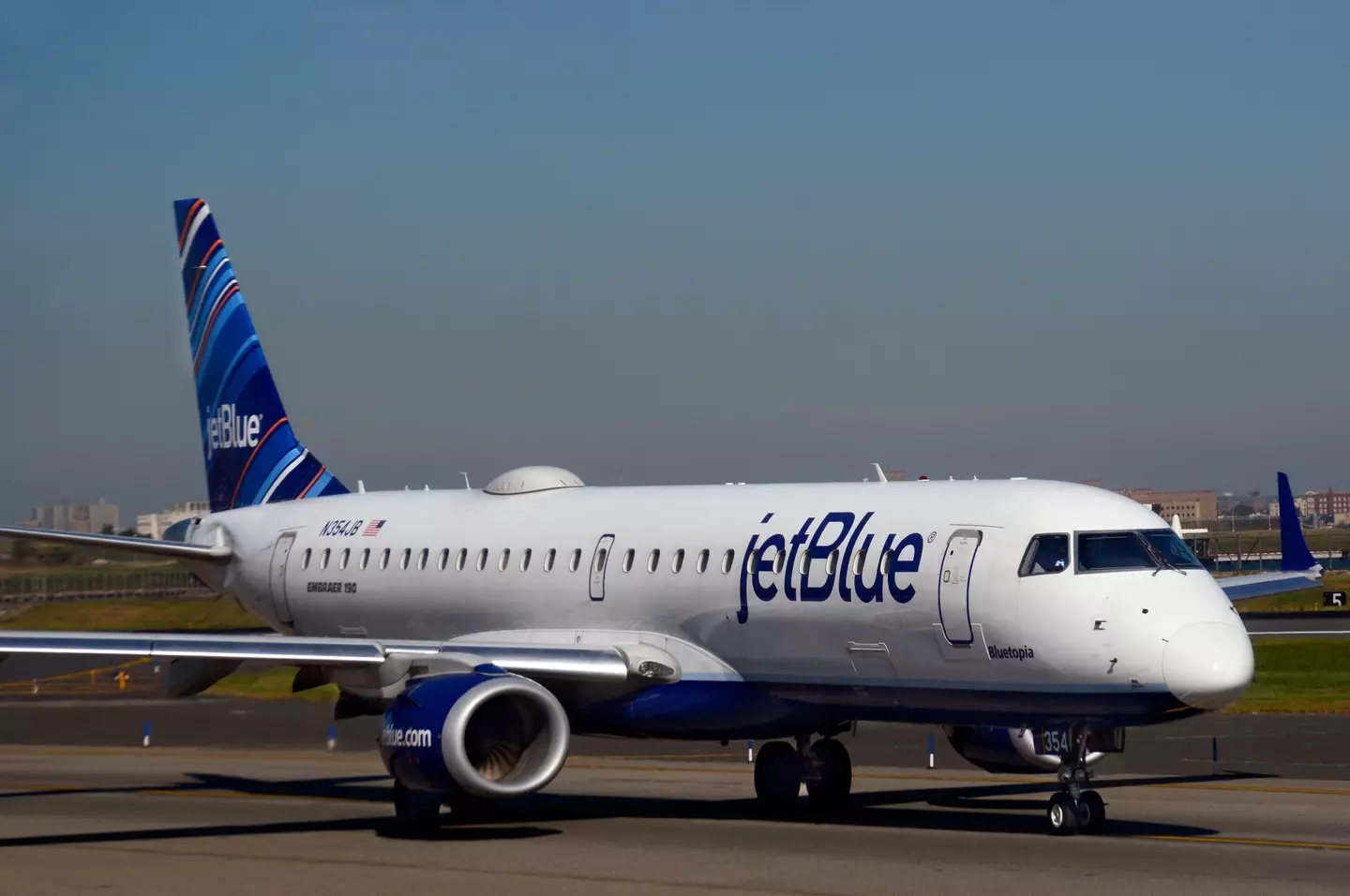 The bodies were found in the plane's landing gear (Robert Alexander/Getty Images)